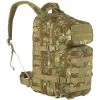 Mil-Tec MOLLE US Assault Pack Small Arid Woodland